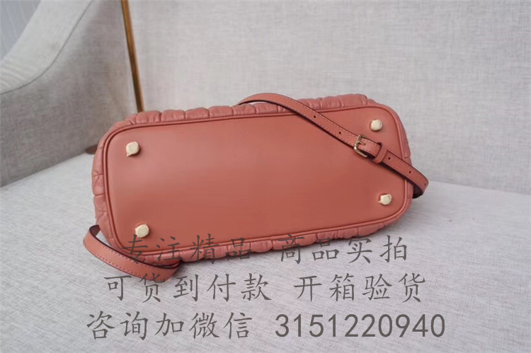 Coach饺子包 F31460 浅粉色绗缝ALLY SATCHEL 手袋