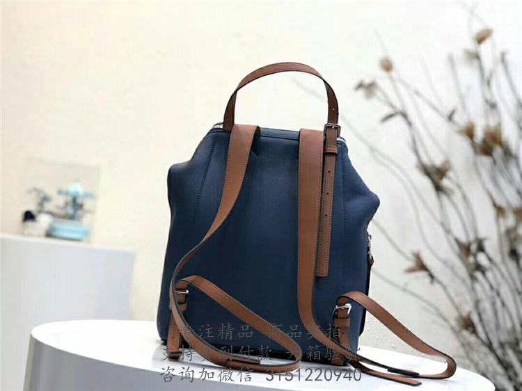 Loewe双肩背包 307.12UU15 罗意威蓝色小号Goya 背包