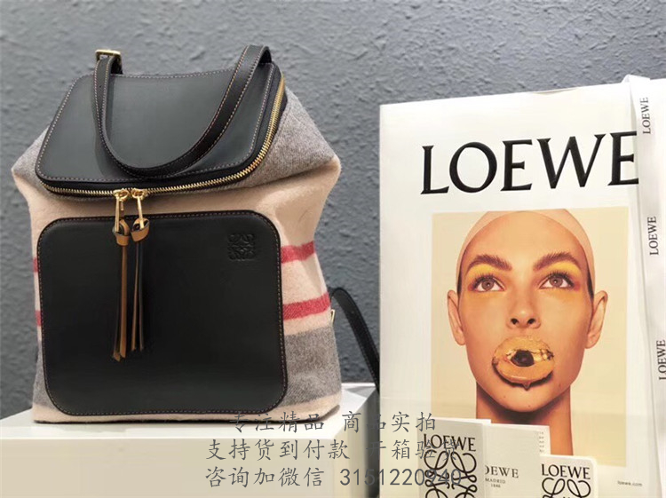 Loewe双肩背包 307.01.U15 罗意威条纹毛毡配牛皮小号Goya 背包