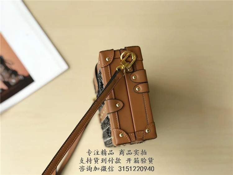 LV盒子包 M53793 双色刺绣帆布MINI DAUPHINE 手袋