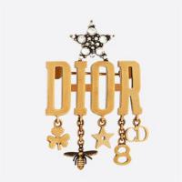 DIOR V0302DVOCY 女士 DIO(R)EVOLUTION 胸针