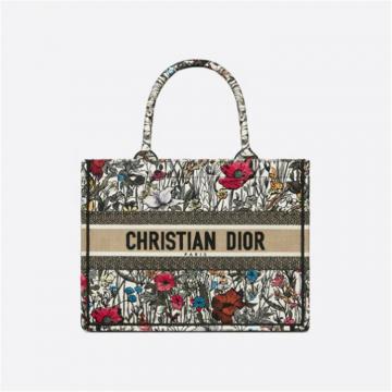 DIOR M1296ZWRF 女士多色 小号 BOOK TOTE 手袋