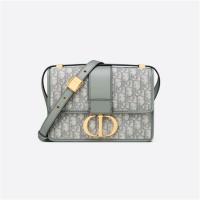 DIOR M9203UTZQ 女士灰色 30 MONTAIGNE 手袋