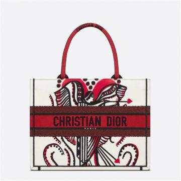 DIOR M1296ZTQG 女士多色 小号 BOOK TOTE 手袋