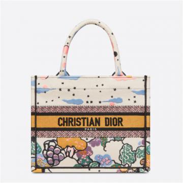 DIOR M1265ZRVO 女士多色 小号 BOOK TOTE 手袋