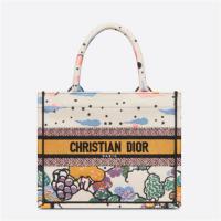 DIOR M1265ZRVO 女士多色 小号 BOOK TOTE 手袋