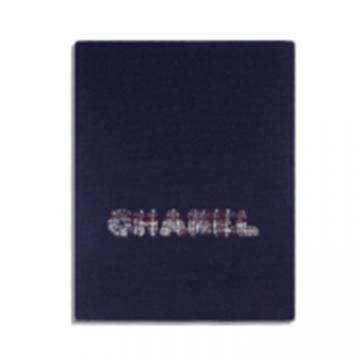 CHANEL AA8602 女士海军蓝色 围巾